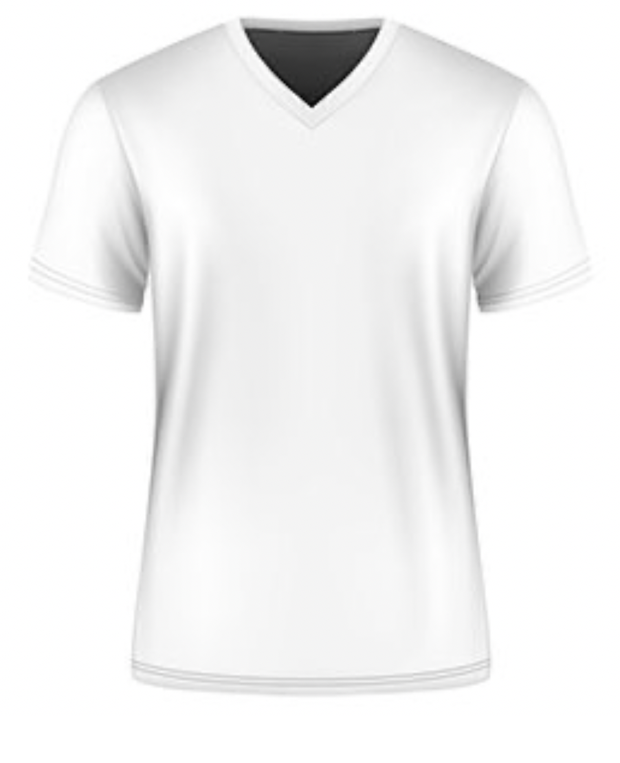 Alyas T shirt V-Neck 6 ct Reval Distributor