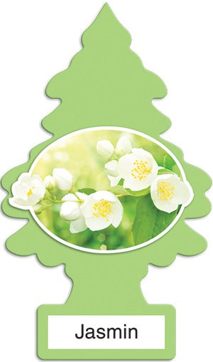 Car Freshener Little Trees 24 ct Reval Distributor Jasmin