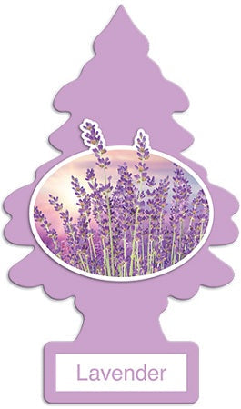 Car Freshener Little Trees 24 ct Reval Distributor Lavender