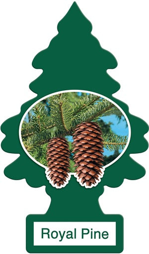 Car Freshener Little Trees 24 ct Reval Distributor Royal Pine